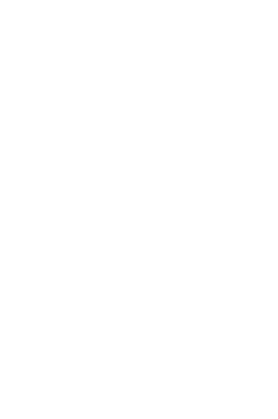 Bv portal white